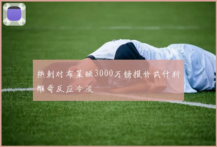 热刺对布莱顿3000万镑报价武什科维奇反应冷淡