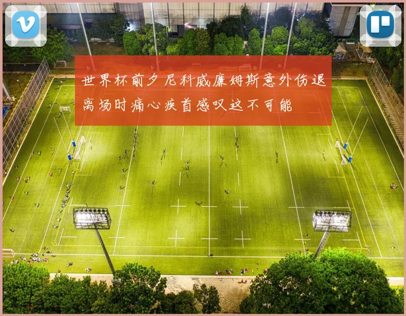 世界杯前夕尼科威廉姆斯意外伤退离场时痛心疾首感叹这不可能