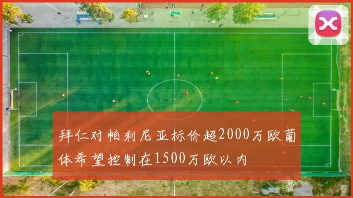 拜仁对帕利尼亚标价超2000万欧葡体希望控制在1500万欧以内