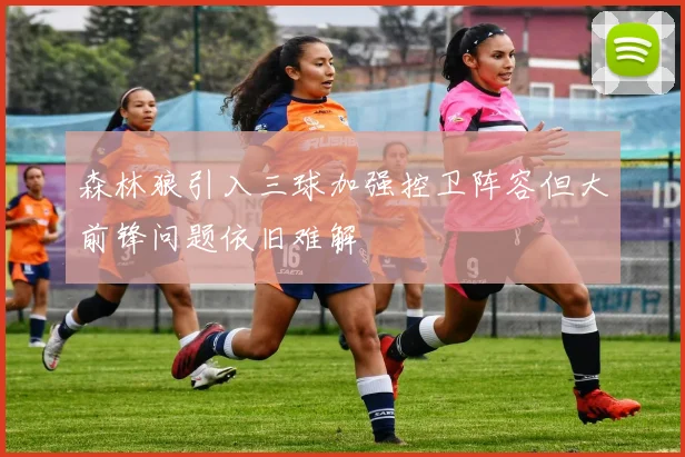 森林狼引入三球加强控卫阵容但大前锋问题依旧难解